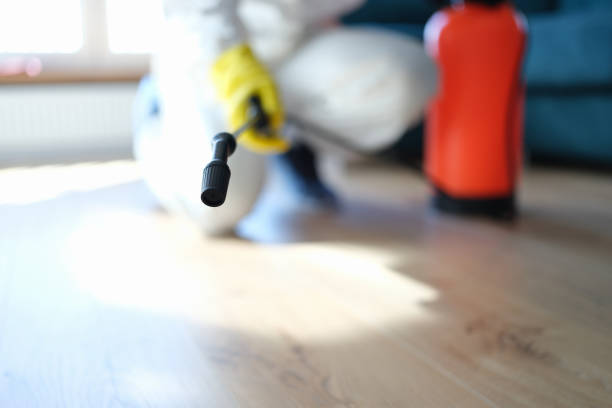 Best Mold Odor Removal Services  in Chenoweth, OR