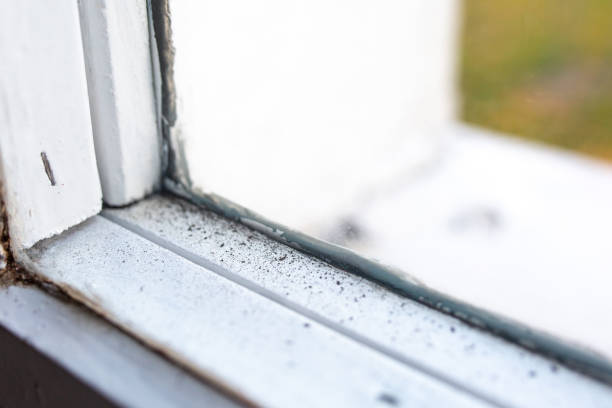 Best Forensic Mold Investigation  in Chenoweth, OR