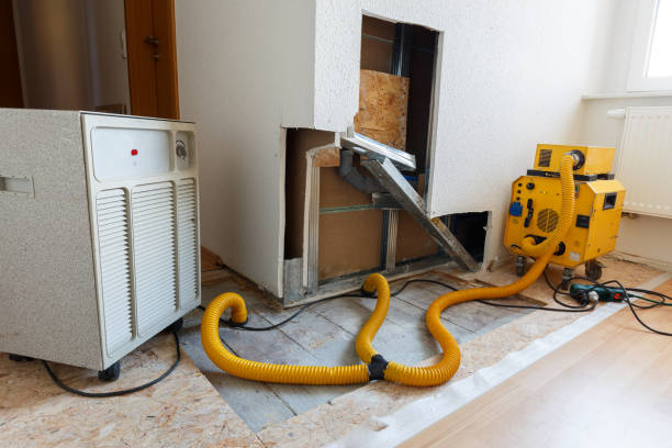 Best Crawl Space Mold Remediation  in Chenoweth, OR