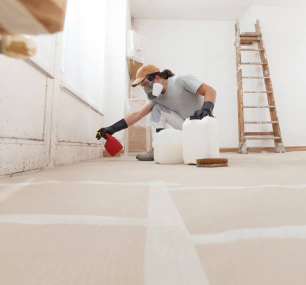 Biohazard Mold Removal in Chenoweth, OR